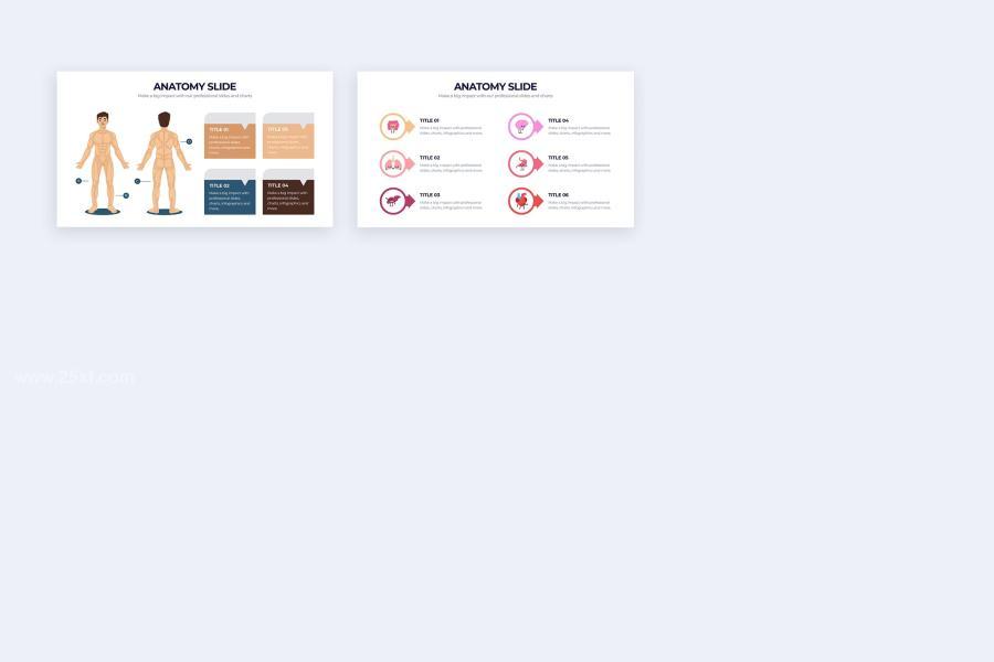 25xt-162205 Medical-Anatomy-Slide-Illustrator-Infographicsz5.jpg