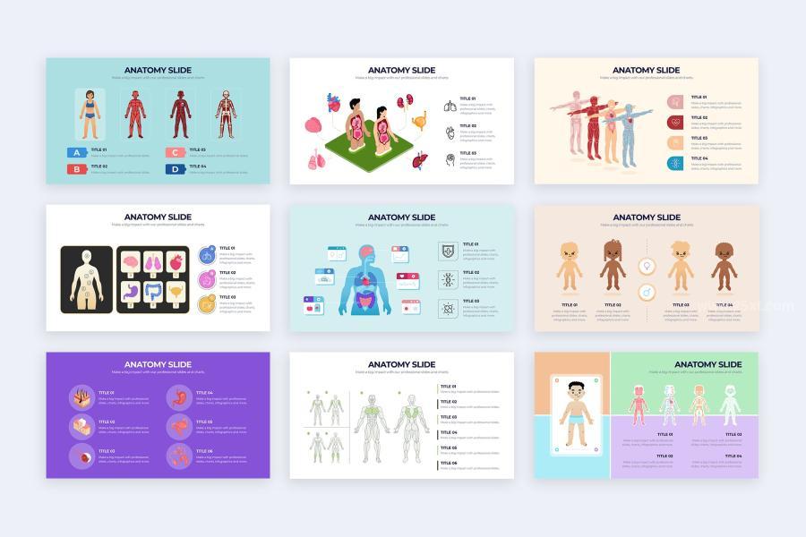 25xt-162218 Medical-Anatomy-Slide-PowerPoint-Infographicsz4.jpg