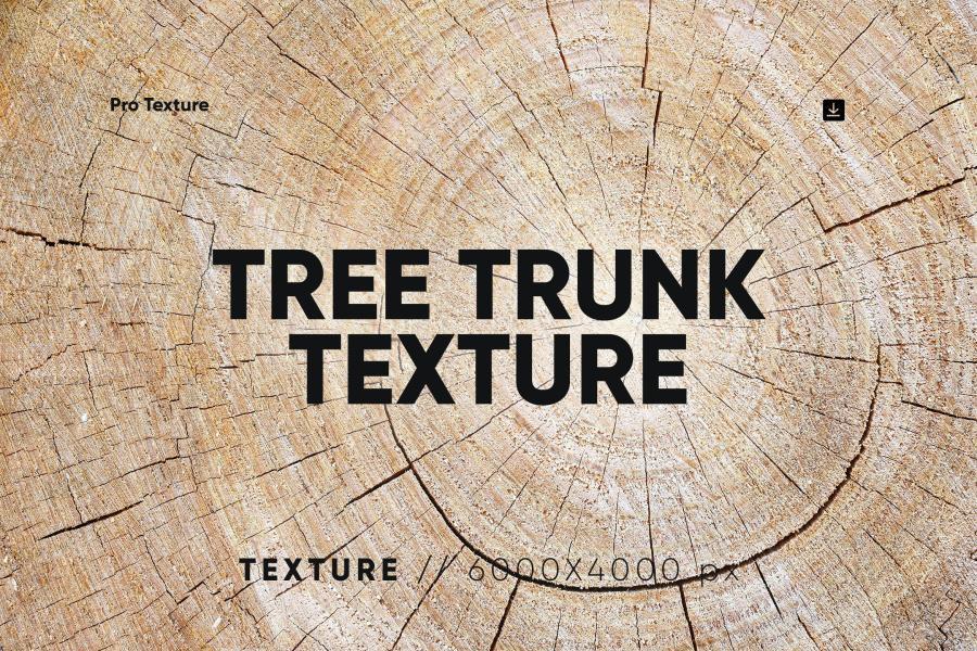 25xt-162274 20-Tree-Trunk-Texturesz2.jpg