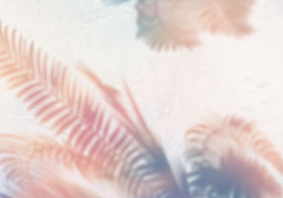 25xt-162321 Gradient-Shadows-Backgroundsz4.jpg