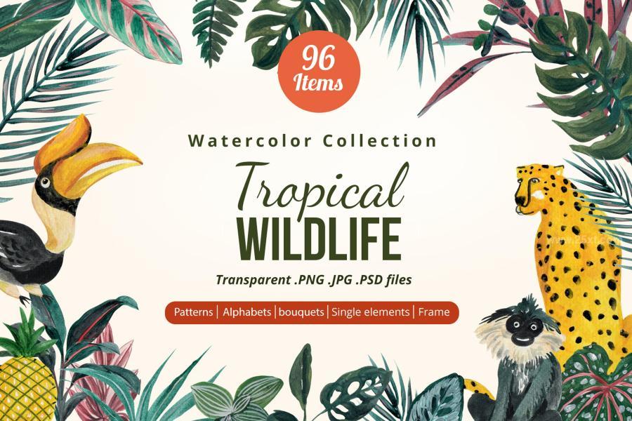 25xt-162396 Tropical-Wildlife-Watercolorz2.jpg