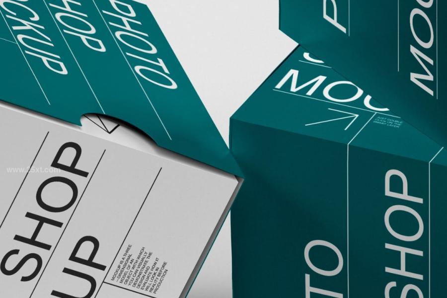 25xt-162402 Paper-Box-Mockupz3.jpg