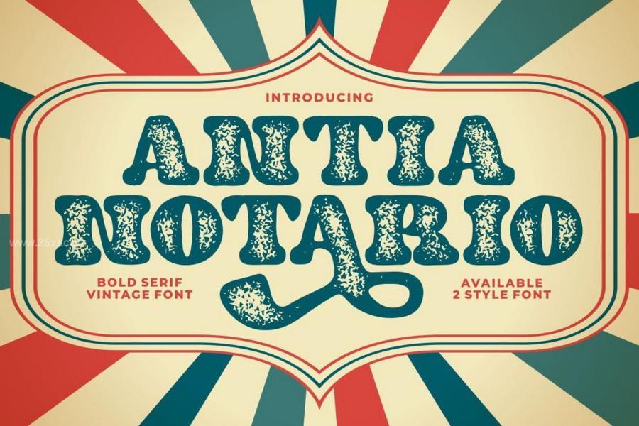 25xt-162013 Antia-Notario---Modern-Vintage-Serif-Fontz2.jpg