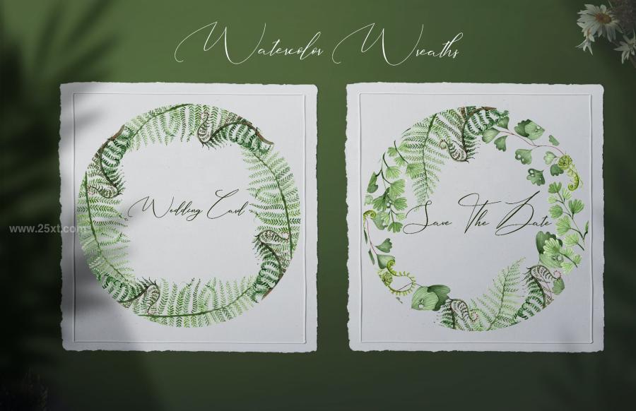 25xt-162047 Watercolor-Fern-Collectionz5.jpg