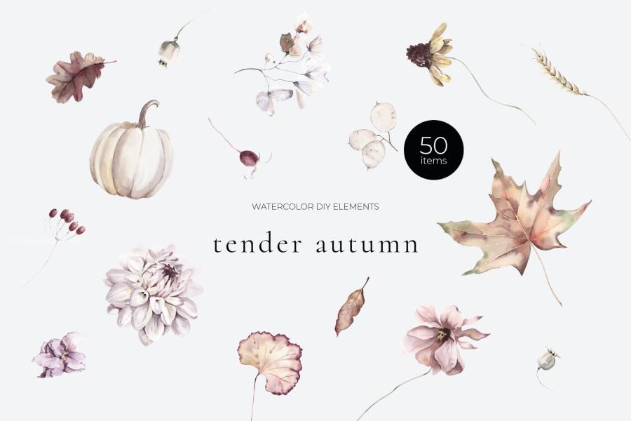 25xt-162053 Tender-Autumn-Watercolor-Elementsz2.jpg