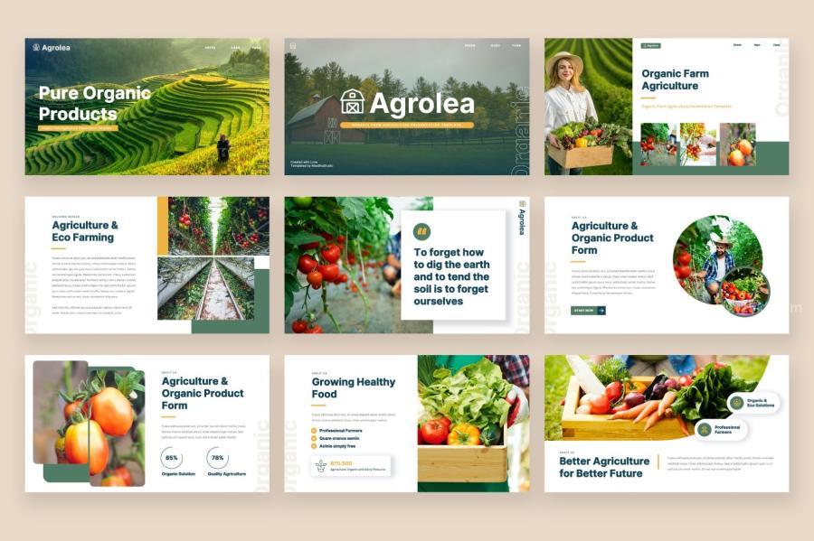 25xt-162070 AGROLEA---Agriculture-Keynote-Templatez7.jpg