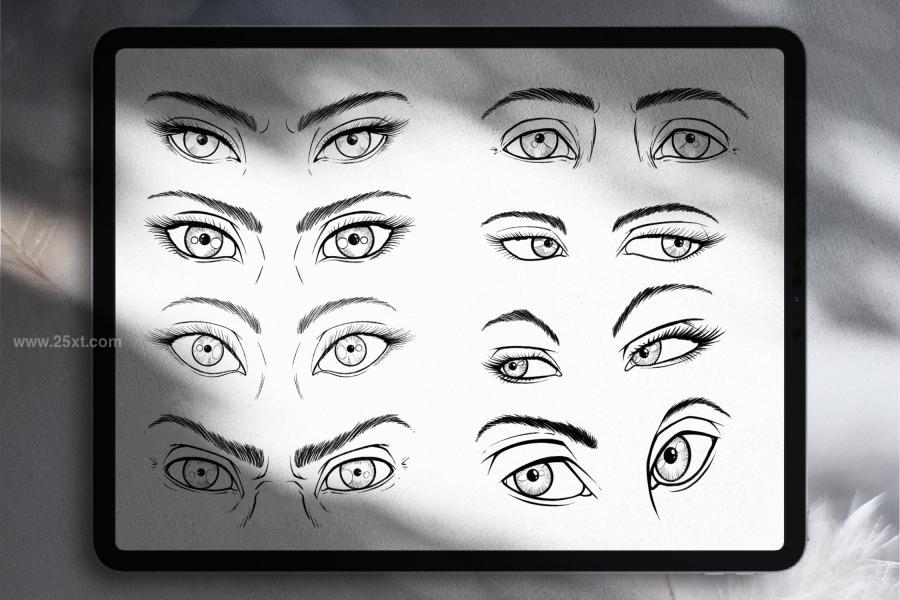 25xt-162121 Dans-Eyes-Anatomy-Brush-Stamp-Procreatez4.jpg