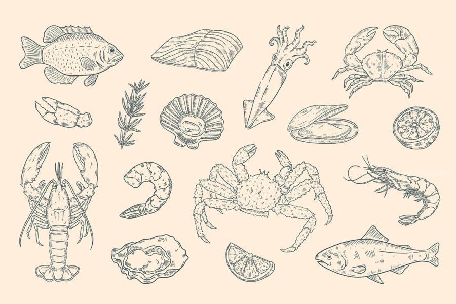 25xt-163902 Seafood-Clipart-Illustrationsz4.jpg