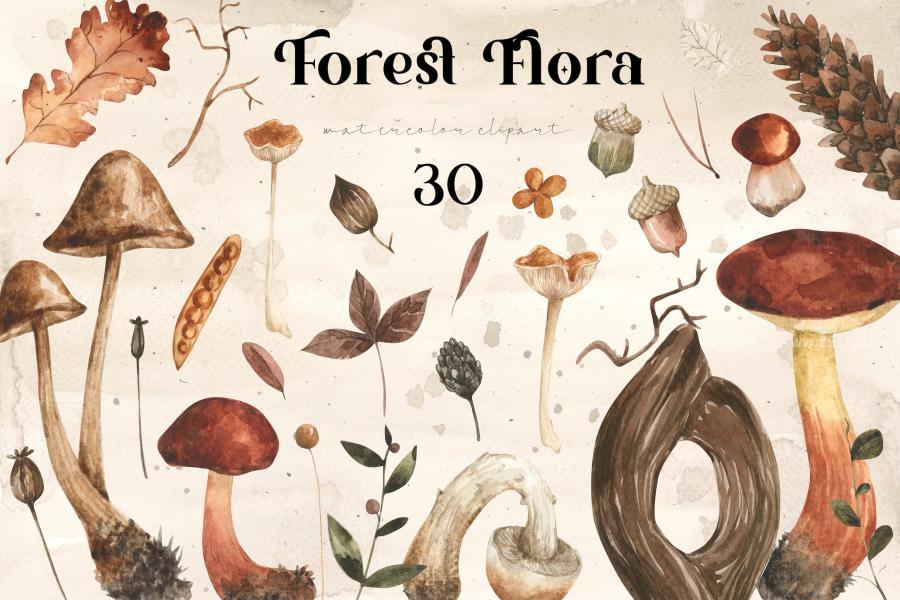 25xt-164050 Wild-Flora-Clipart-Watercolor-Mushrooms-Floral-pngz2.jpg