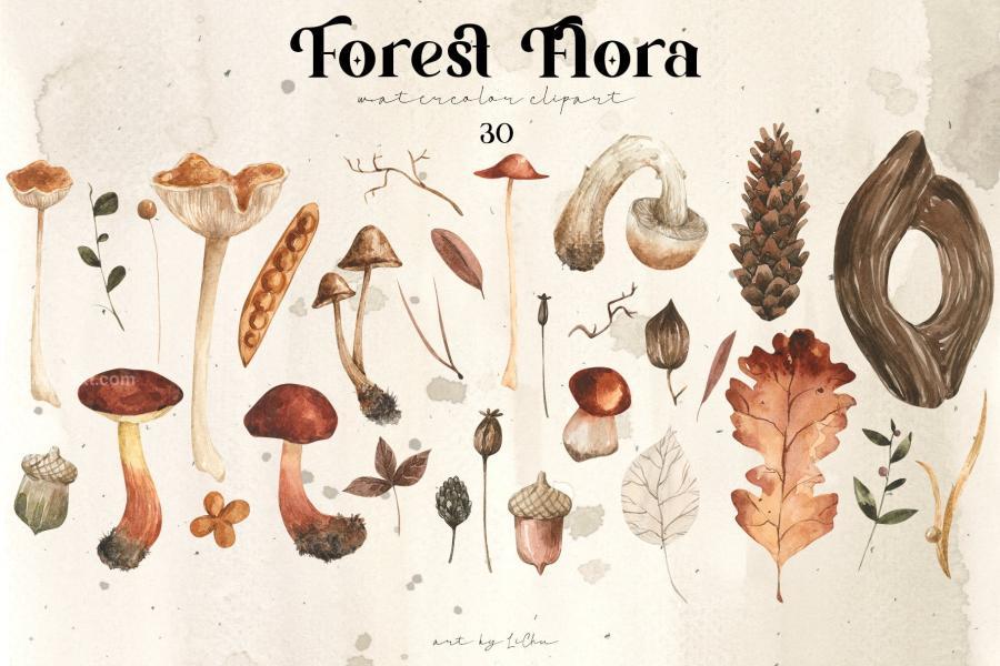 25xt-164050 Wild-Flora-Clipart-Watercolor-Mushrooms-Floral-pngz3.jpg