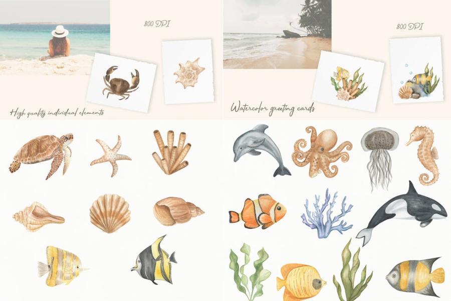 25xt-163940 Watercolor-marine-digital-clipartz7.jpg