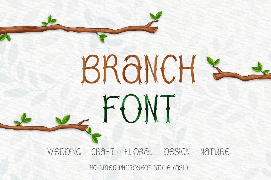 25xt-163990 Branch-Fontz2.jpg