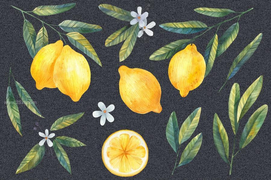 25xt-174172 Watercolor-Lemon-Clipart-Citrusz4.jpg
