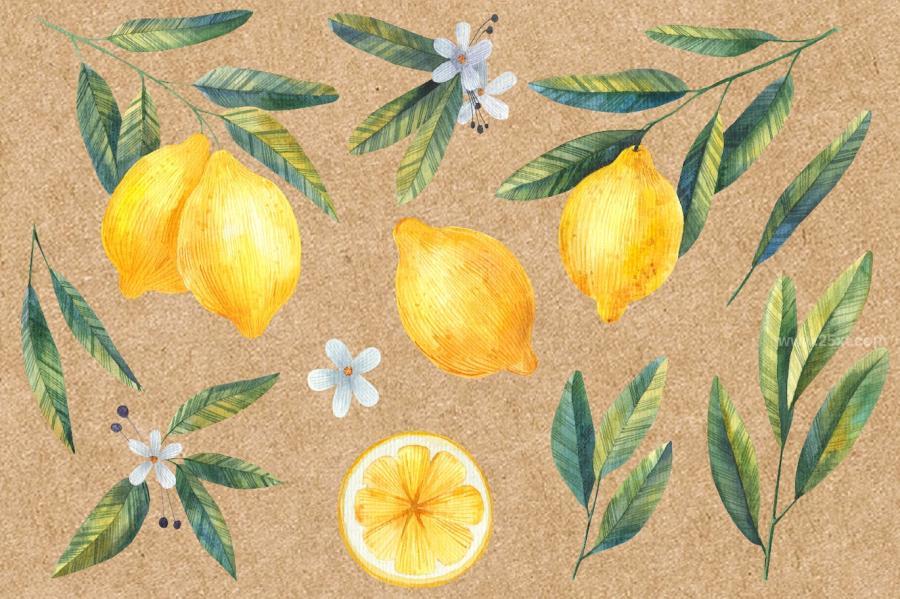 25xt-174172 Watercolor-Lemon-Clipart-Citrusz6.jpg