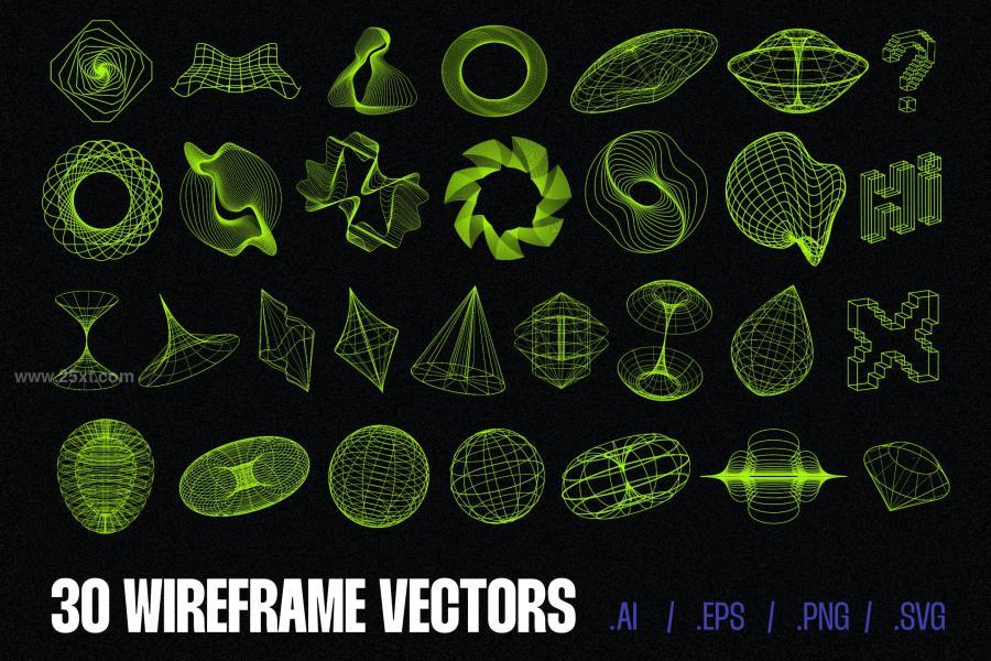 25xt-166111 30-Wireframe-Vectorsz2.jpg