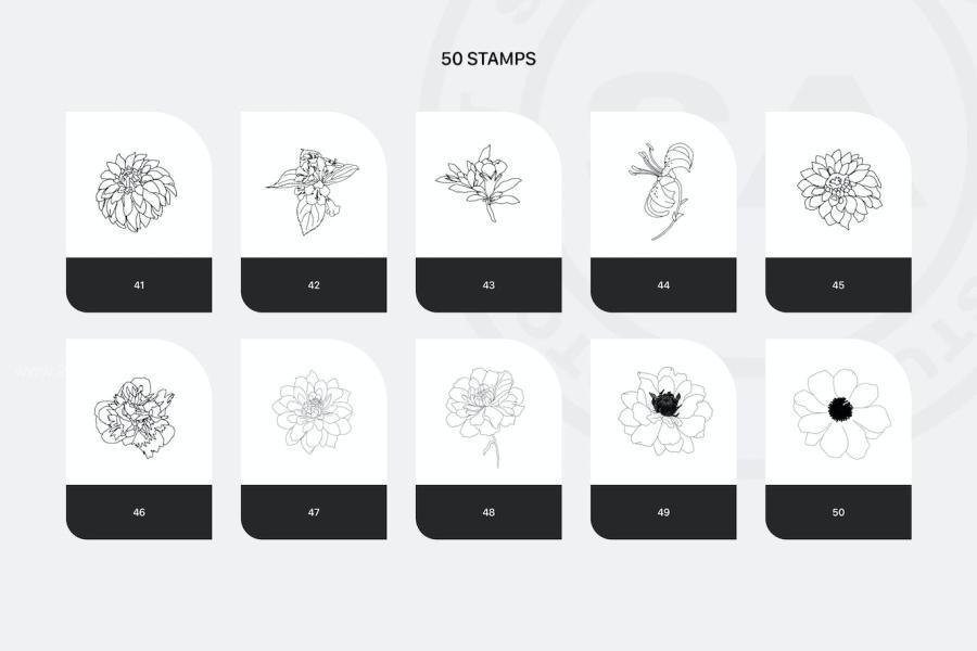 25xt-174212 Procreate-Rich-Flowers-Stampsz3.jpg
