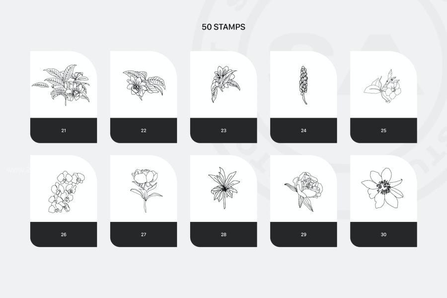25xt-174212 Procreate-Rich-Flowers-Stampsz7.jpg