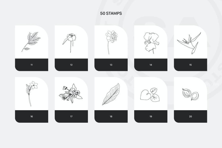25xt-174212 Procreate-Rich-Flowers-Stampsz8.jpg