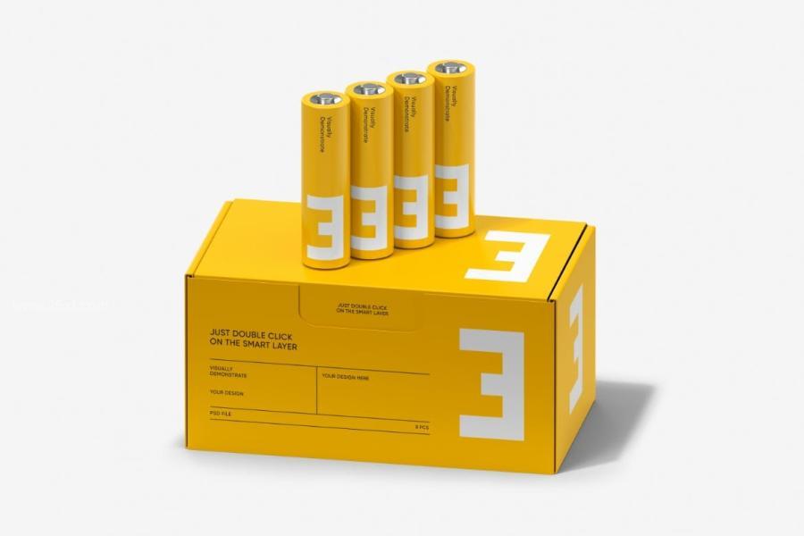25xt-174426 Battery-Packaging-Mockup-Setz4.jpg