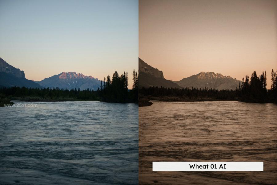 25xt-174436 20-Terrain-Lightroom-Presets-and-LUTsz4.jpg