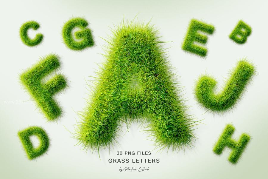 25xt-174512 Grass-Lettersz4.jpg