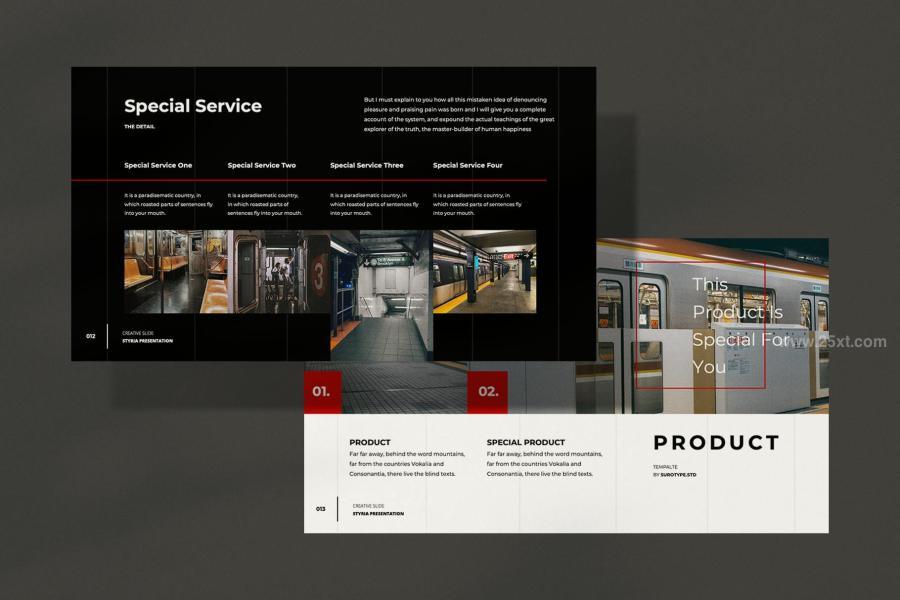 25xt-174576 Styria-Business-Plan---Presentationz7.jpg