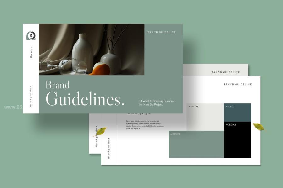 25xt-174344 Brand-Guidelines-Presentation-Templatez9.jpg