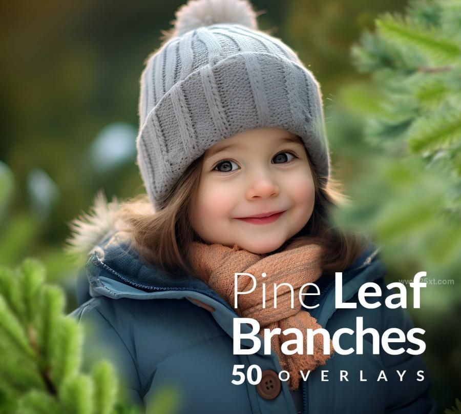 25xt-174737 Pine-Branches-Christmas-transparent-PNG-Overlaysz3.jpg