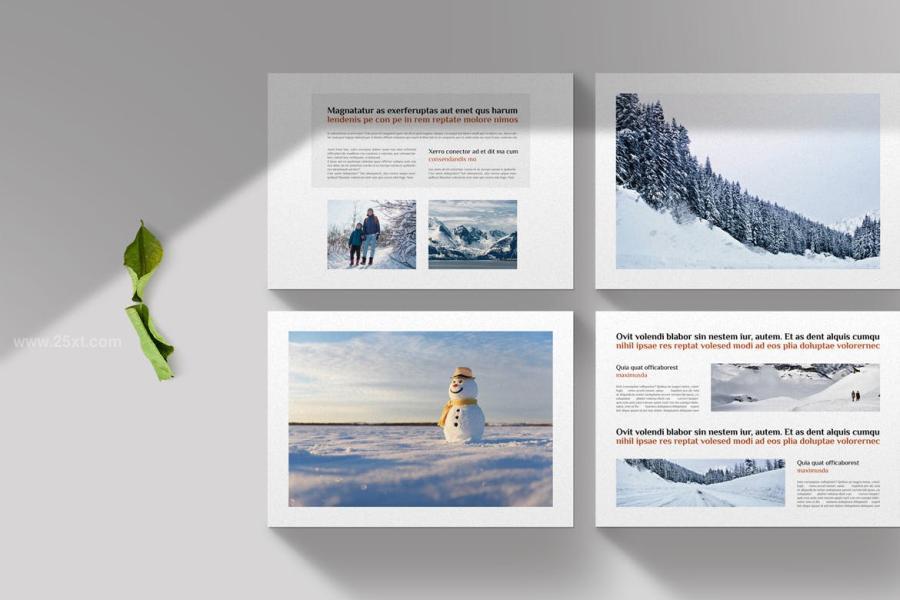 25xt-174749 Winter-Landscape-Brochurez5.jpg