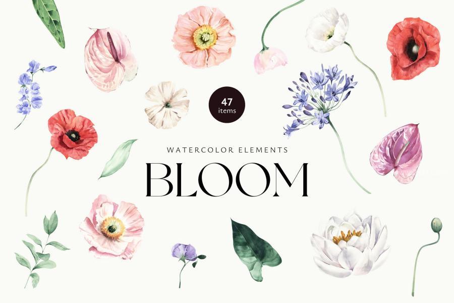 25xt-174776 Bloom-Watercolor-Elementsz2.jpg