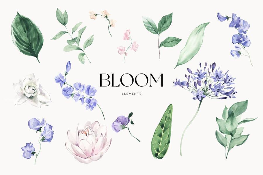 25xt-174776 Bloom-Watercolor-Elementsz4.jpg