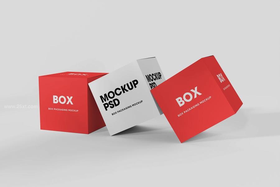 25xt-174665 Box-Mockupz5.jpg