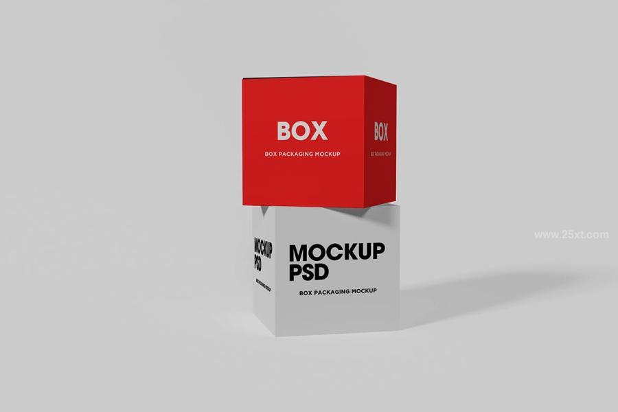 25xt-174665 Box-Mockupz6.jpg