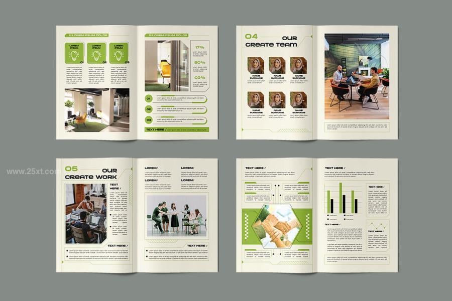 25xt-174827 Company-Profilez3.jpg