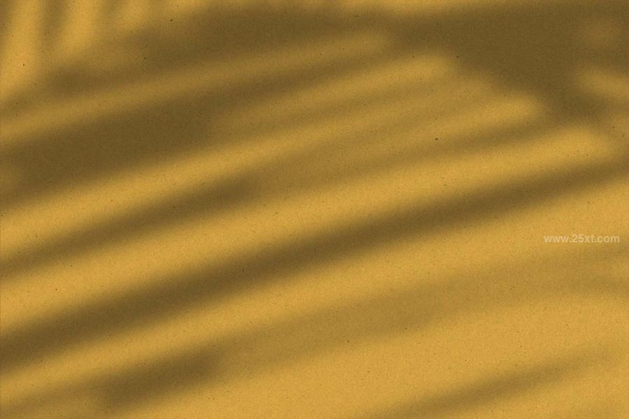 25xt-164150 Dancing-Shadows-Overlayz3.jpg