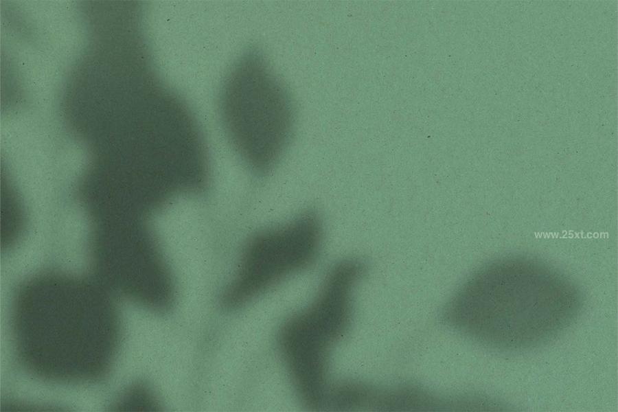 25xt-164150 Dancing-Shadows-Overlayz7.jpg