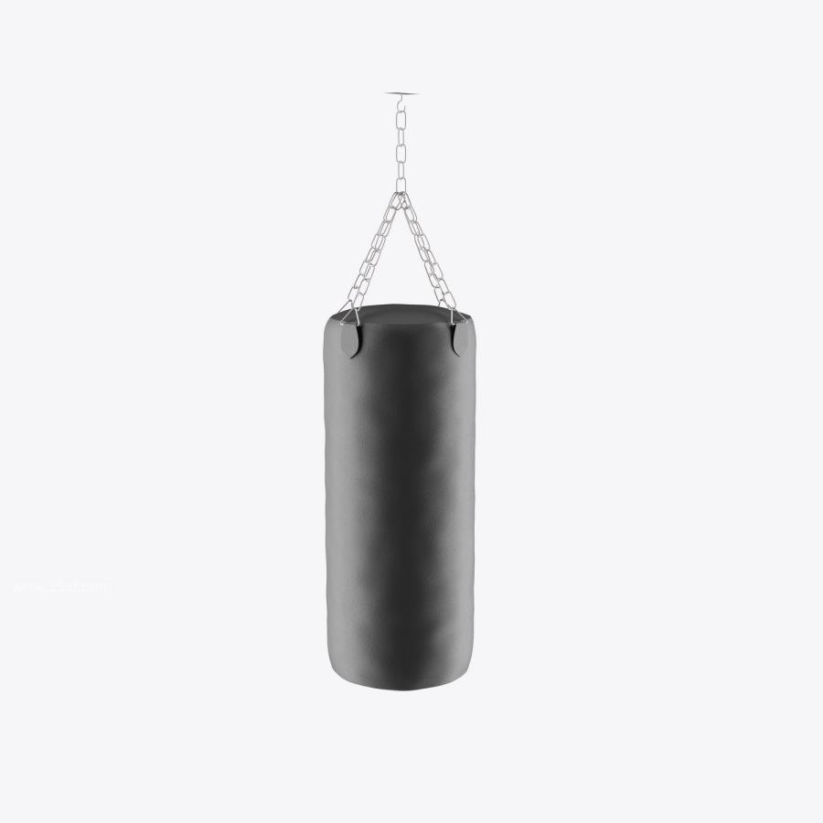 25xt-172845 Punching-Bag-Mockupz3.jpg