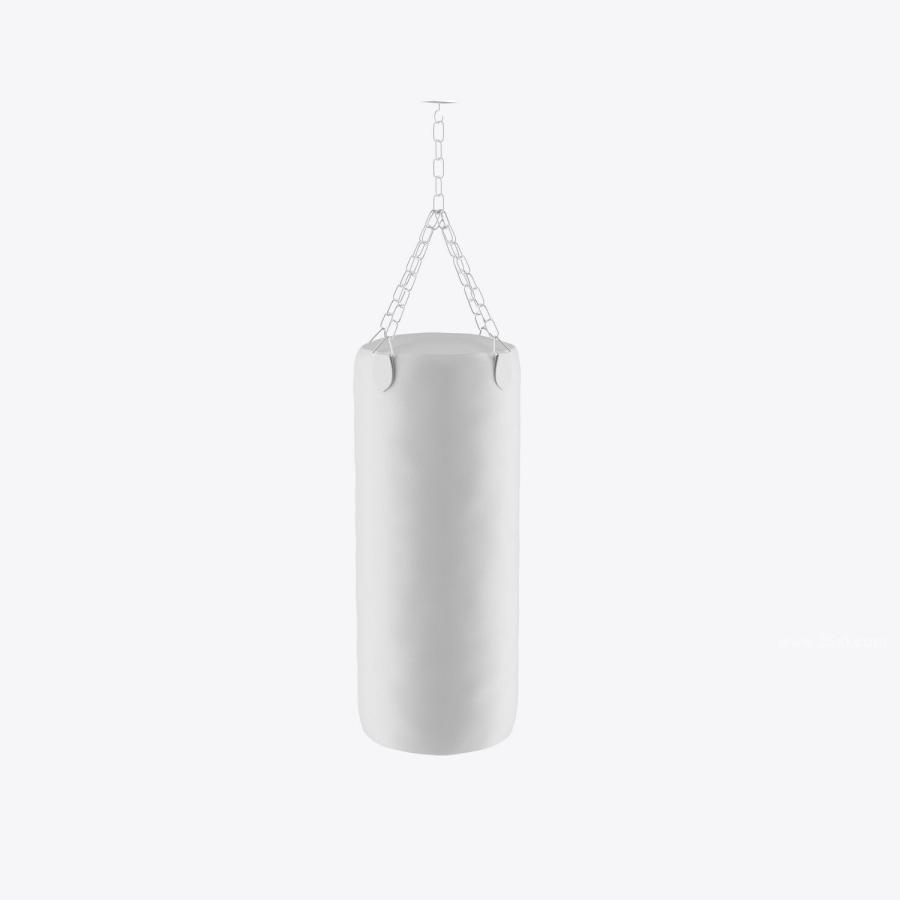 25xt-172845 Punching-Bag-Mockupz4.jpg
