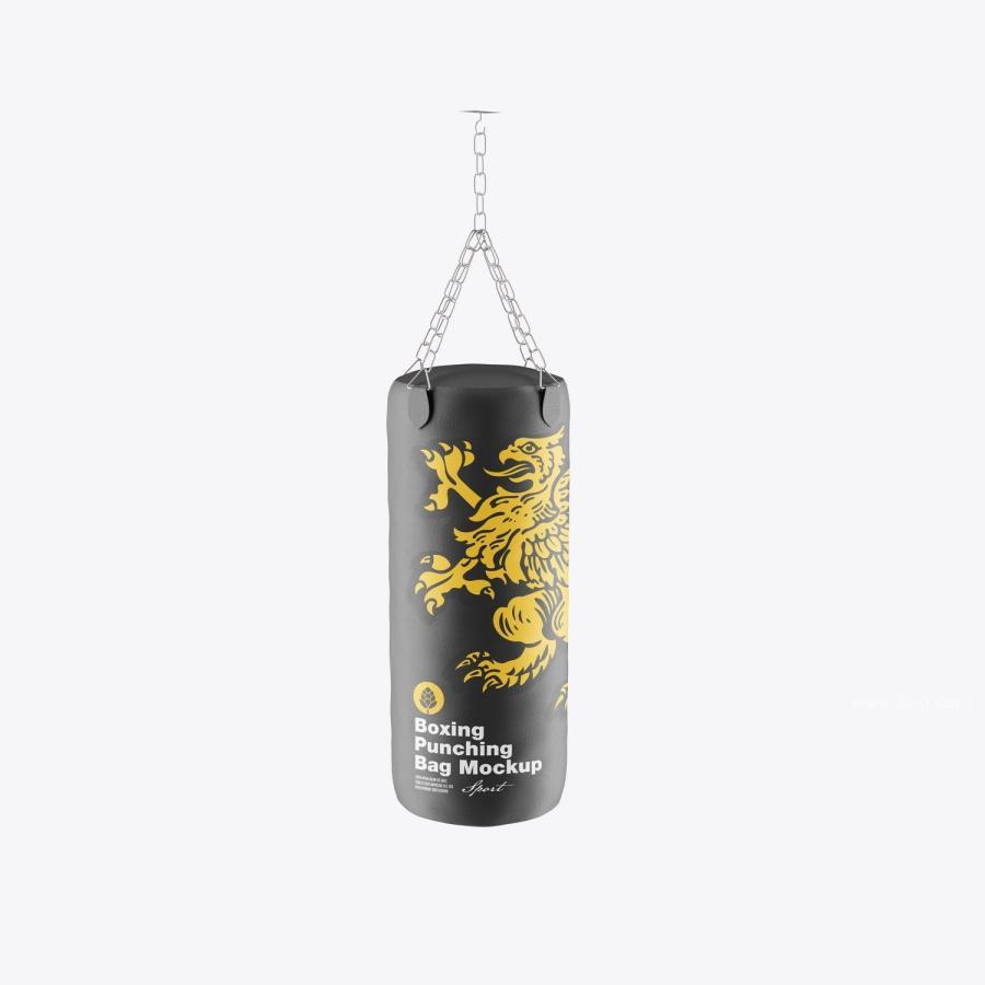 25xt-172845 Punching-Bag-Mockupz7.jpg