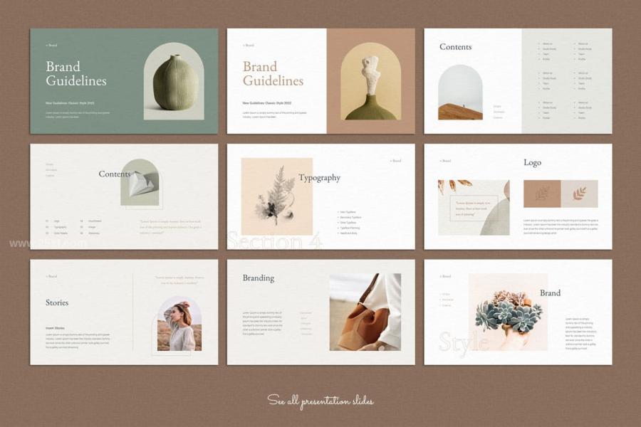 25xt-164396 Brand-Guidelines-PowerPoint-Presentation-Templatez5.jpg