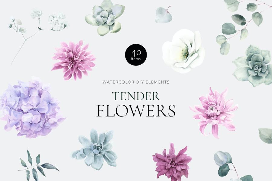 25xt-164425 Tender-Flowers-Watercolor-Elementsz2.jpg