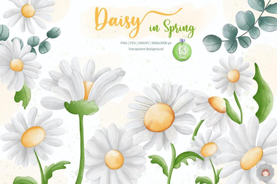 25xt-164459 Watercolor-Daisy-Flower-Spring-Clipart-Collectionz2.jpg