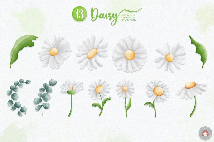 25xt-164459 Watercolor-Daisy-Flower-Spring-Clipart-Collectionz3.jpg