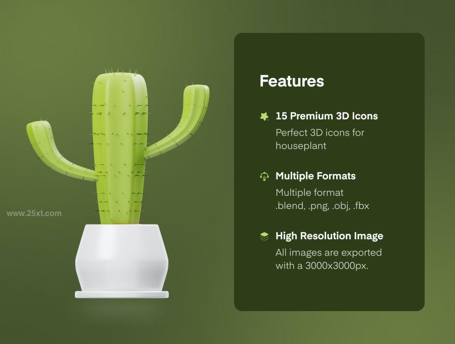 25xt-164482 Houseplants-3D-Iconz3.jpg