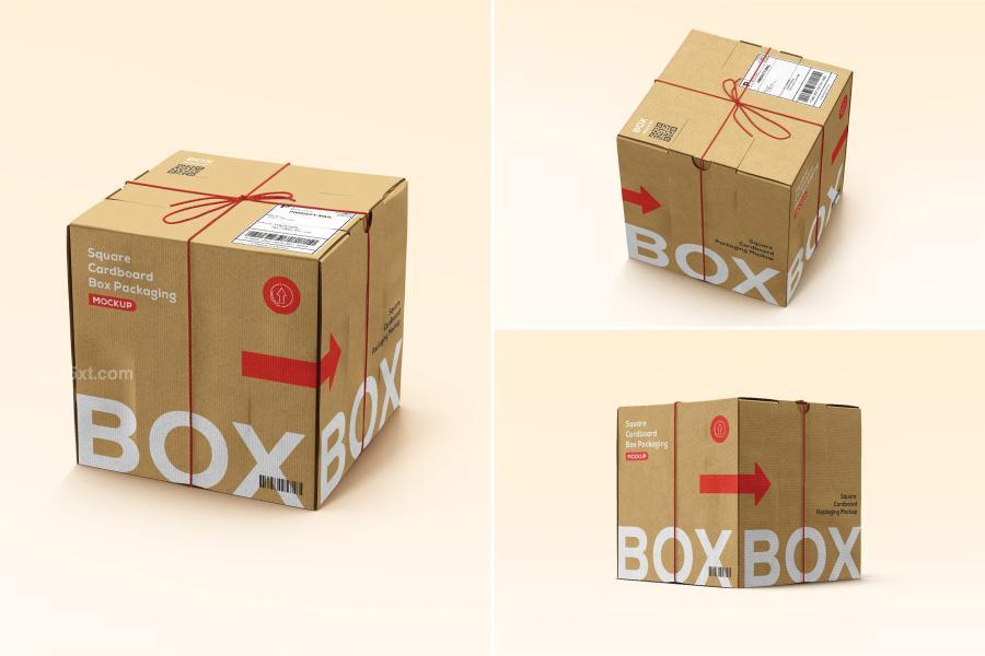 25xt-164293 Square-Cardboard-Box-Mockupz2.jpg