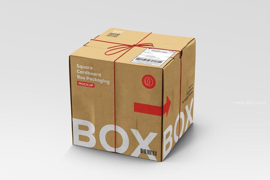 25xt-164293 Square-Cardboard-Box-Mockupz5.jpg