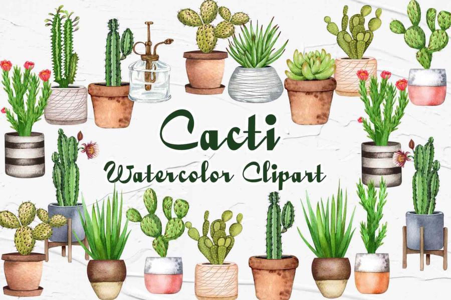 25xt-164826 Cactus-Watercolor-Clipartz2.jpg