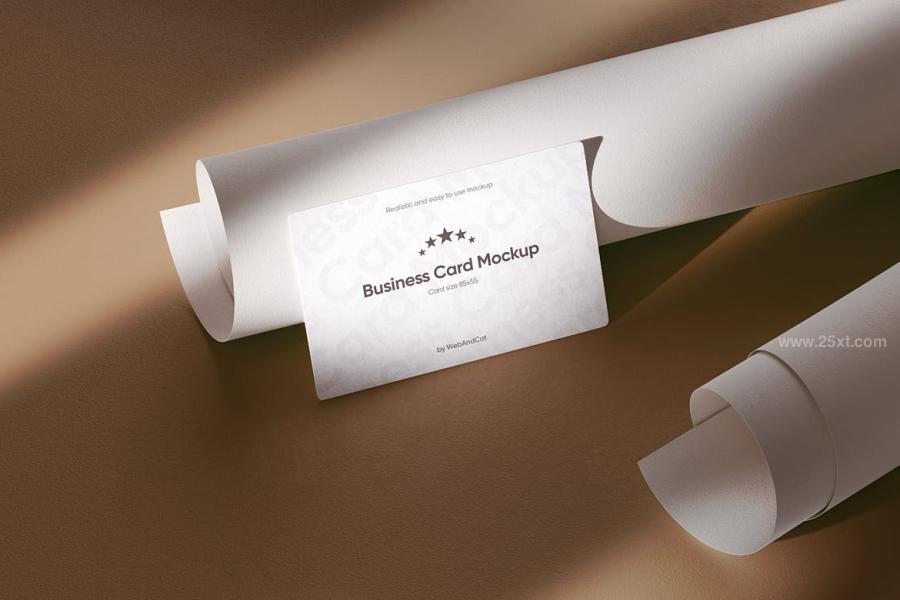 25xt-164877 Business-Card-Mockup-with-Ambient-Shadowz7.jpg