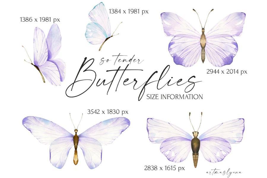 25xt-164947 Watercolor-butterflies-clipart-Cute-blue-insectsz5.jpg