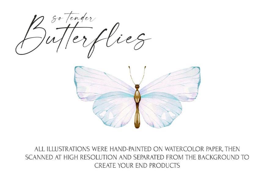 25xt-164947 Watercolor-butterflies-clipart-Cute-blue-insectsz7.jpg